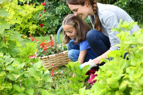 Edible garden in Highgate