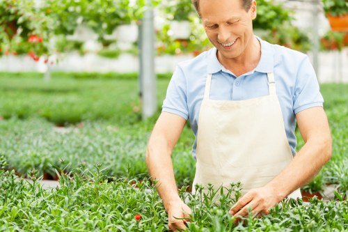Final inspection of a garden after maintenance, showing safe practices