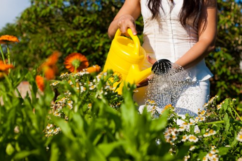 Volunteer assisting a visitor with mobility access in a garden